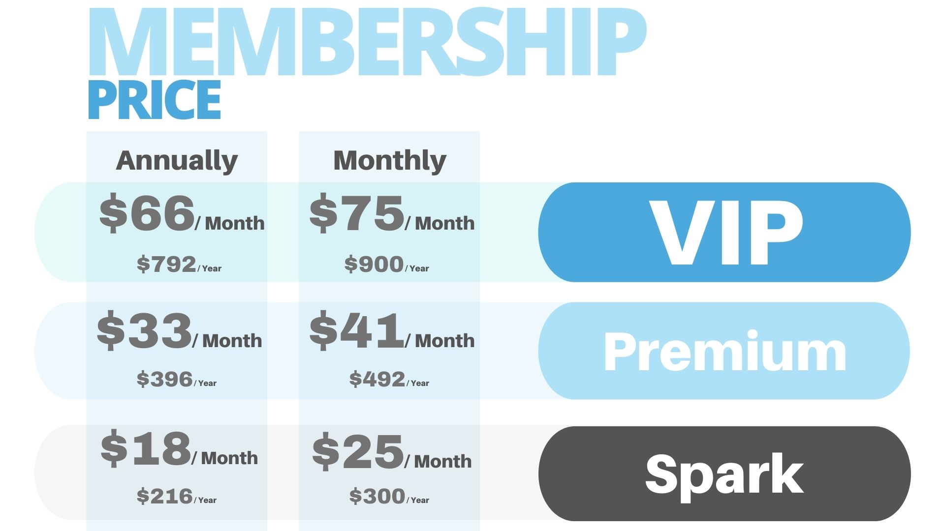 infographic of pricing chart